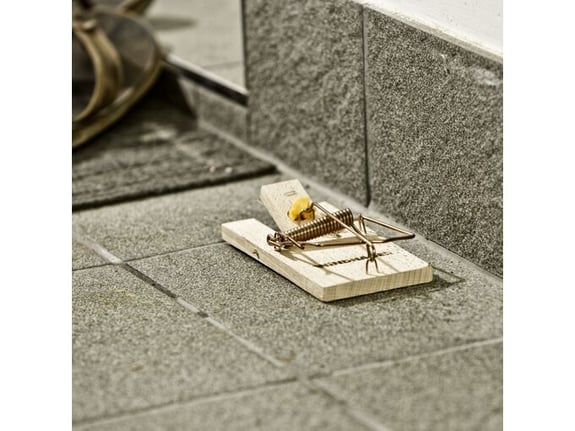 Windhager Zamka za pacove Classic