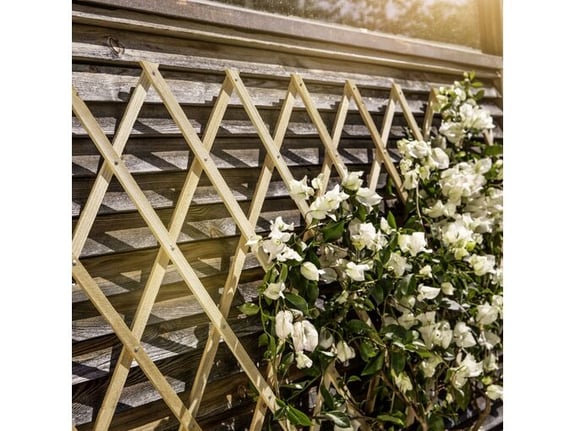 Windhager Rešetka za puzavice 60x180 pode drvena