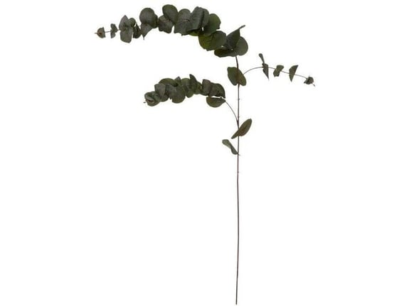 Atmosphera Eukaliptus grana 12x12x118cm