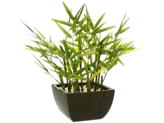 Atmosphera Bambus u saksiji 35x33x33cm