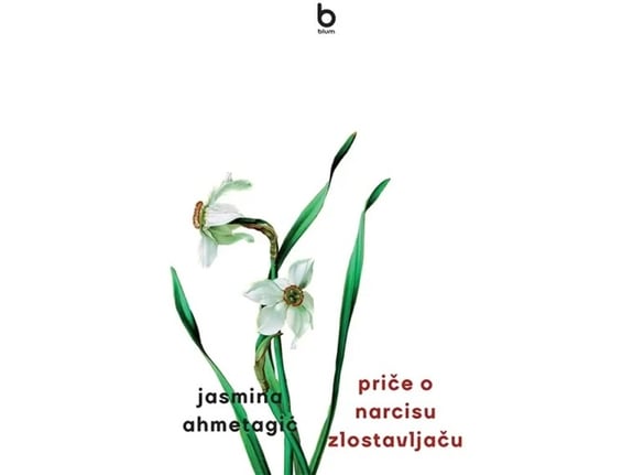 Priče o narcisu zlostavljaču: zlostavljanje i književnost - Jasmina Ahmetagić