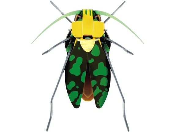 Robotime 3D puzzle Insekti Skakavac JC306