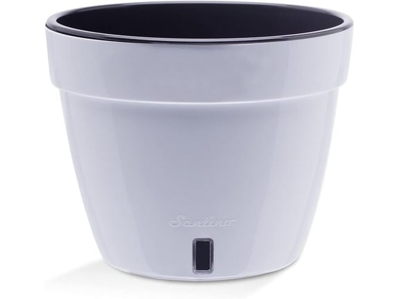 Santino Saksija Asti 4l