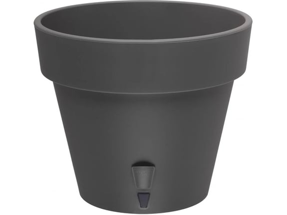 Santino Saksija Latina 2.5l