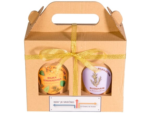 Urbana bašta Biljka na dar Nek je srećno miks začinskog bilja i Ruzmarin