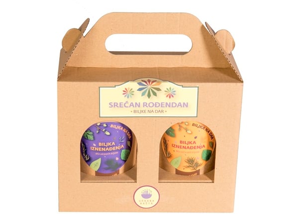 Urbana bašta Rođendanski poklon Posadi sama Miksovi ukrasnog i začinskog bilja