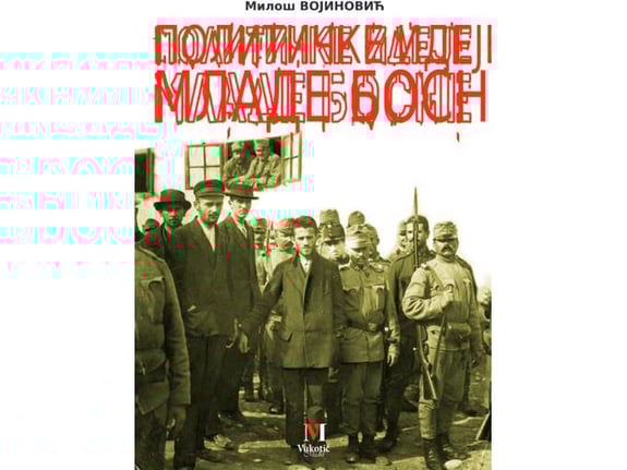 Političke ideje Mlade Bosne