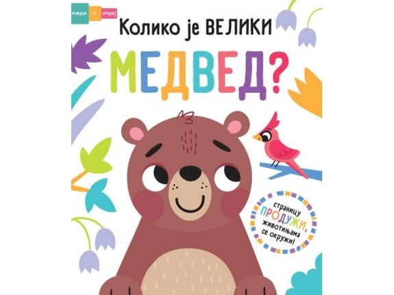 Povuci i otkrij - Koliko je veliki medved?