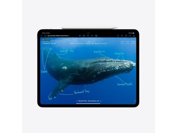 Apple 13-inch iPad Pro (M4) WiFi 256GB with Standard glass