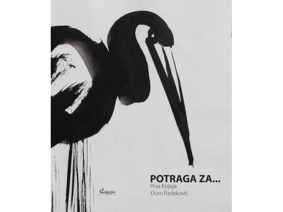 Potraga za... - Đuro Radaković