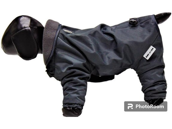 Pet line Jaknica za pse P127S-419