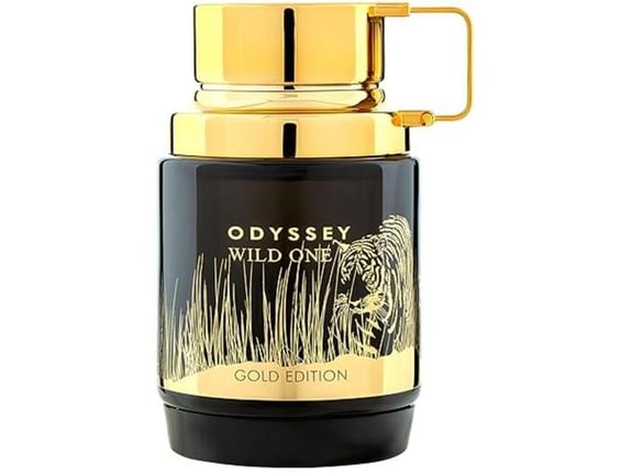 Armaf Muški parfem Odyssey Wild One EDP 100ml