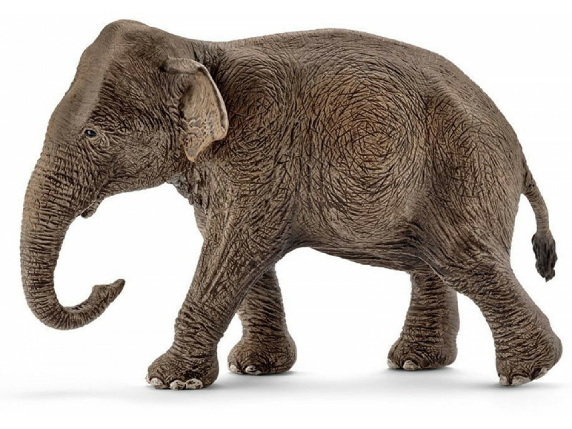Schleich Azijski slon, zenka 14753