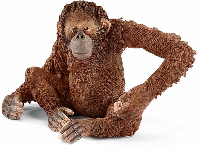 Schleich Orangutan, zenka 14775