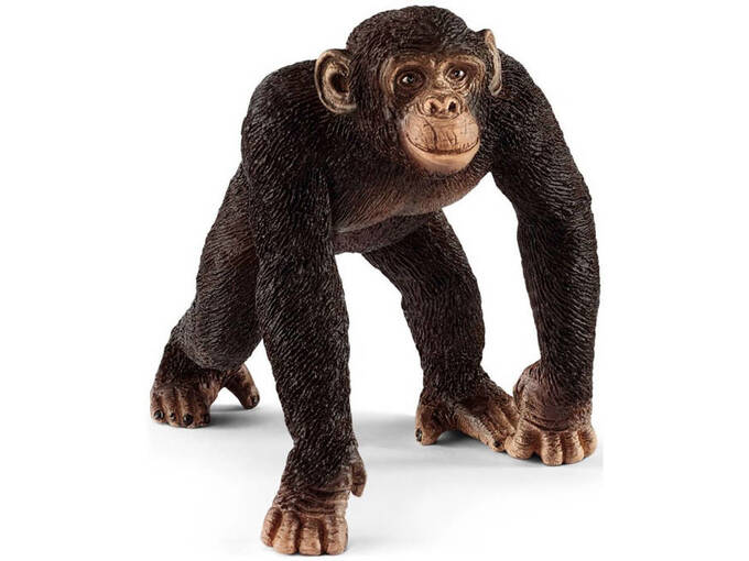 Schleich Simpanza zenka 14817