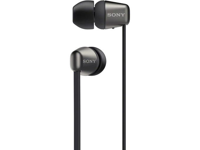 Sony Slušalice WIC-310B