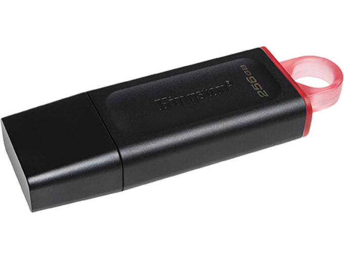 Kingston USB Flash memorija 256GB DTX/256GB