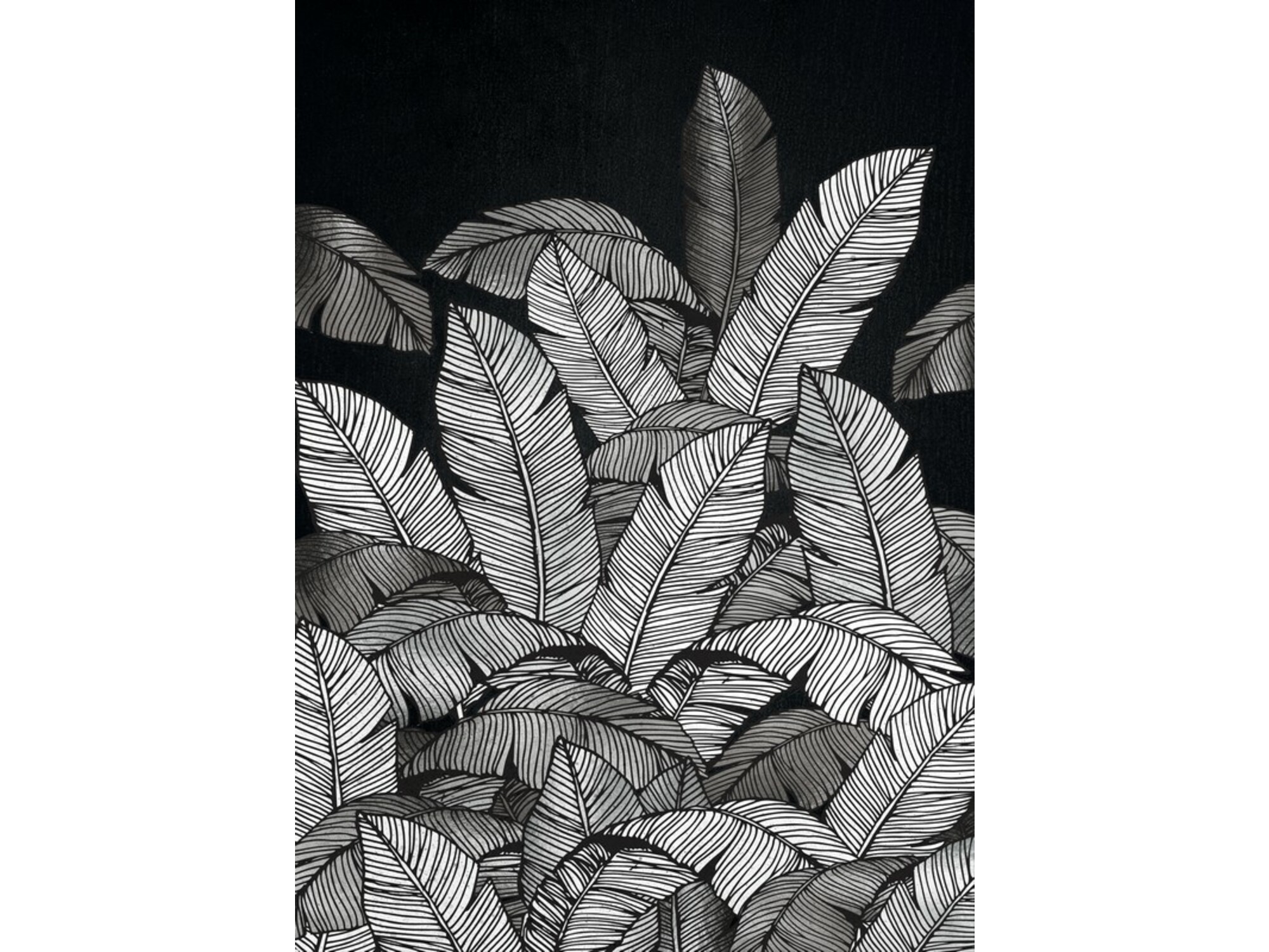 DekorDom Slika 60x90cm Toif22710 - Leaves Black White
