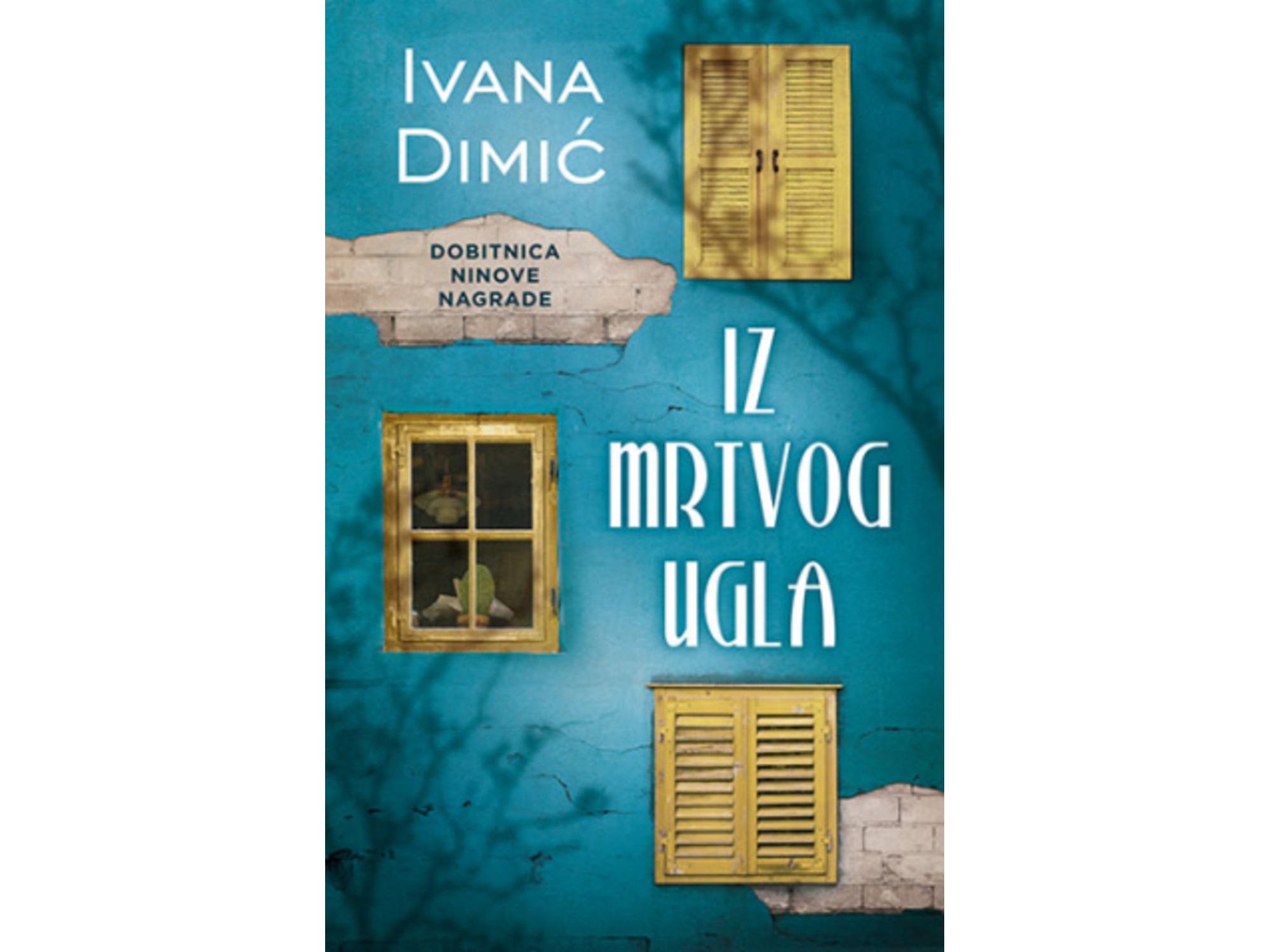 Iz mrtvog ugla - Ivana Dimić