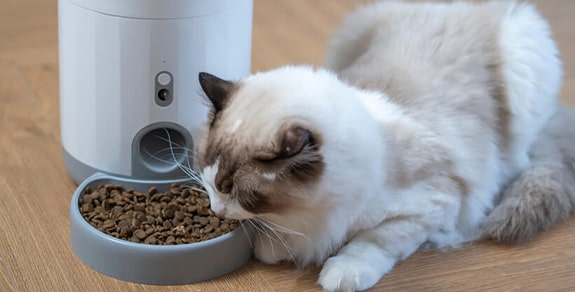 Hranilice za pse Petoneer - Shoppster blog Hranilice za pse Petoneer - Shoppster blog