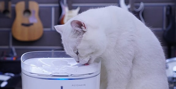 Pojilica za macke Petoneer - Shoppster blog Pojilica za macke Petoneer - Shoppster blog