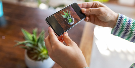 Aplikacije za negu biljaka - Shoppster Blog Aplikacije za negu biljaka - Shoppster Blog