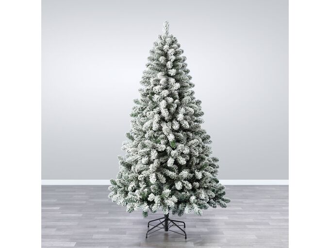 Nero Jelka Snowy Oxford Pine 180cm