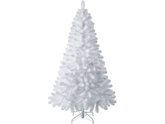 Nero Jelka Oxford Pine White 180