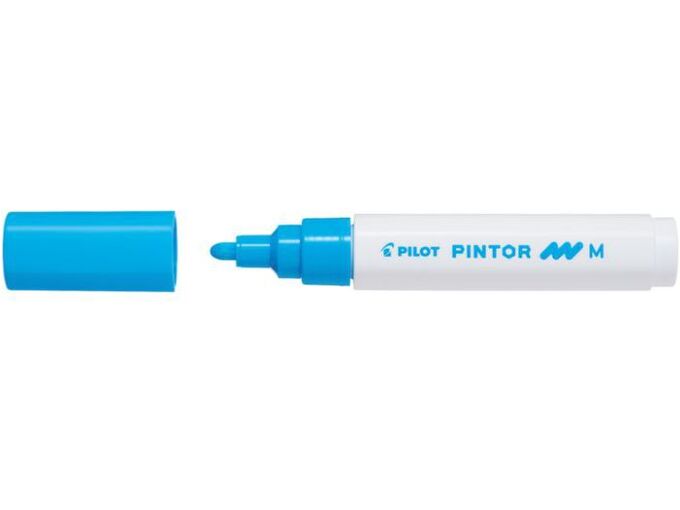 Pilot Marker Pintor M