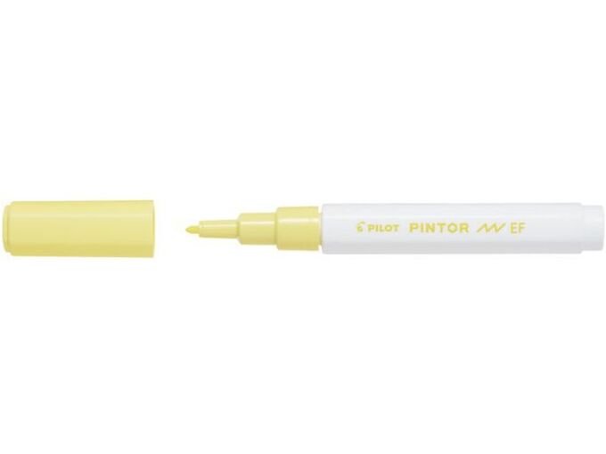 Pilot Marker Pintor Pastel EF