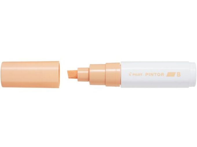 Pilot Marker Pintor B