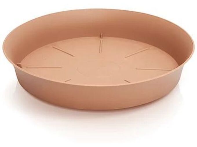 Prosperplast Podmetač Plastica 31x4,7cm