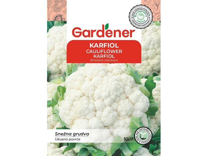 Gardener Karfiol snežna grudva