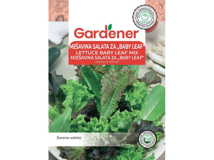 Gardener mešavina Salata Baby Leaf Ljubljanska Ledenka, Majska Kraljica