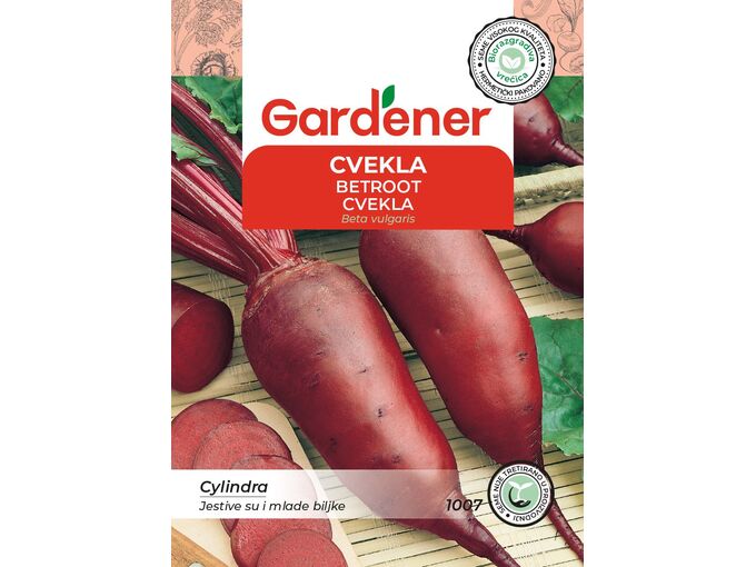 Gardener Cvekla Cylindra
