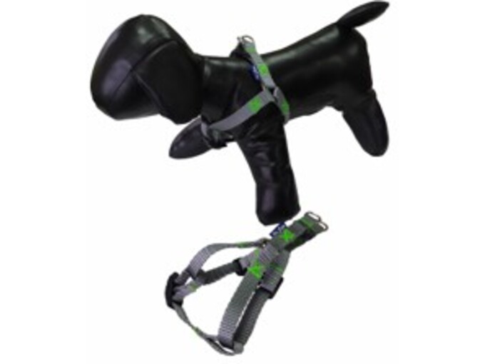 Pet line Am za pse 15mm P501S-15-62