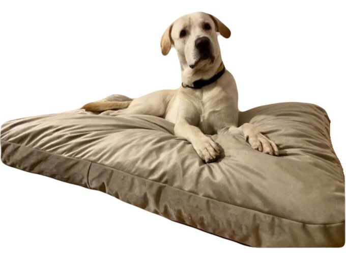Spott Pet Dušek plišani 140x90 /25 cm