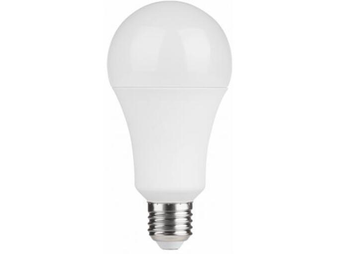 Mitea Lighting LED Eco sijalica 220-240V E27 12W A60 4000K