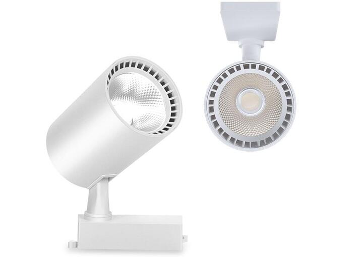 LED reflektor 30 W 6000 K trofazni
