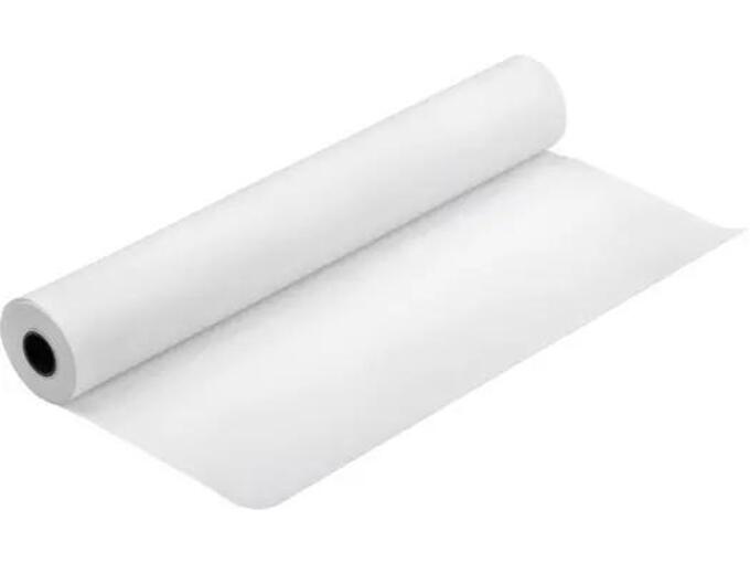 Epson Papir za kasu C13S045274 841mm x 50m